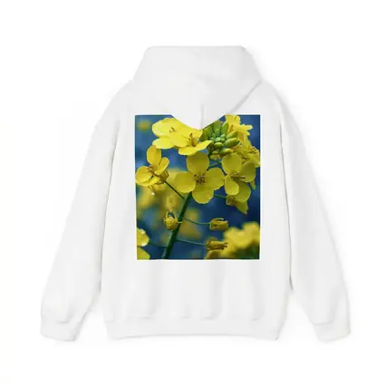 Yellow Rapeseed Flowers Against Blue Background