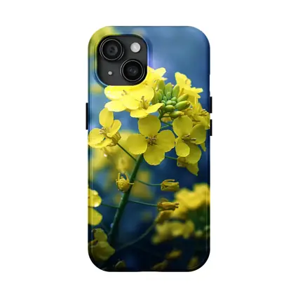 Yellow Rapeseed Flowers Against Blue Background