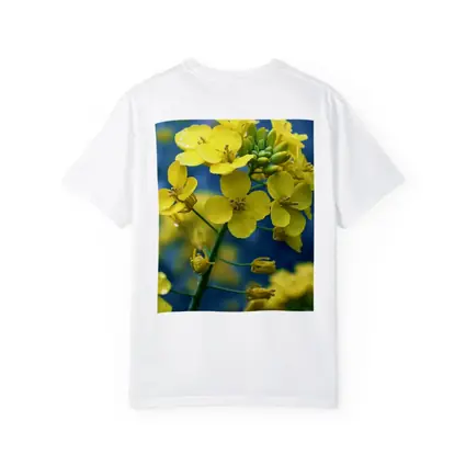 Yellow Rapeseed Flowers Against Blue Background