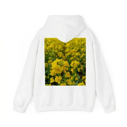 Yellow Rapeseed Flowers Field Mountain Background
