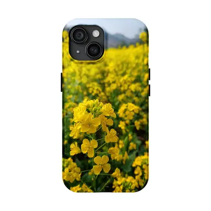Yellow Rapeseed Flowers Field Mountain Background