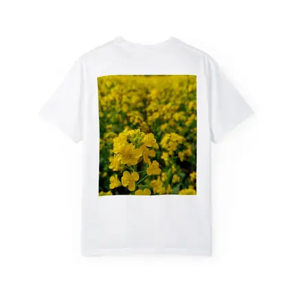 Yellow Rapeseed Flowers Field Mountain Background