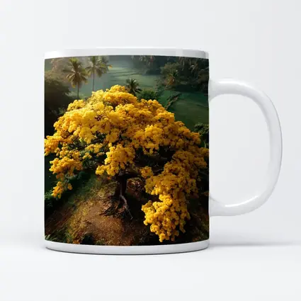 Yellow Tree Aerial View Tropical Landscape