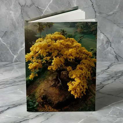 Yellow Tree Aerial View Tropical Landscape