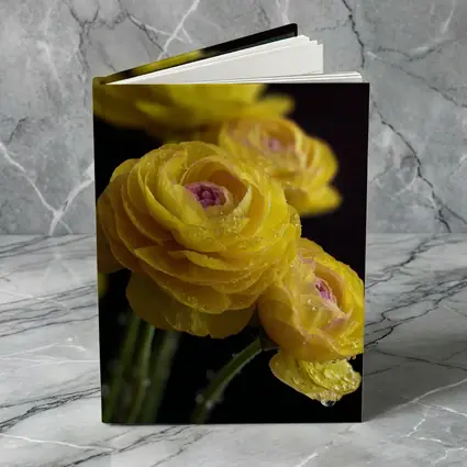 Yellow Ranunculus Flowers With Water Droplets