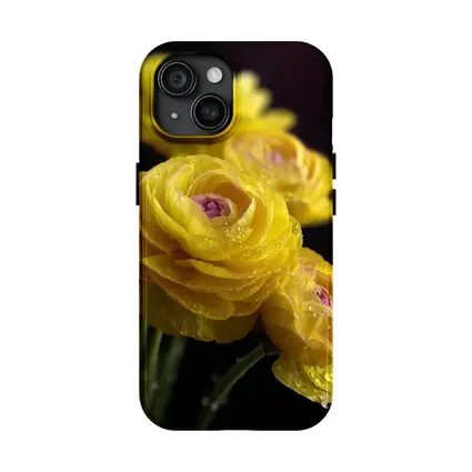 Yellow Ranunculus Flowers With Water Droplets