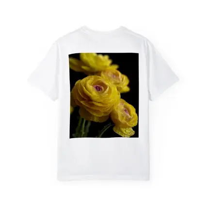 Yellow Ranunculus Flowers With Water Droplets