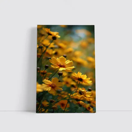 Yellow Coreopsis Flowers Green Blurred Garden Background
