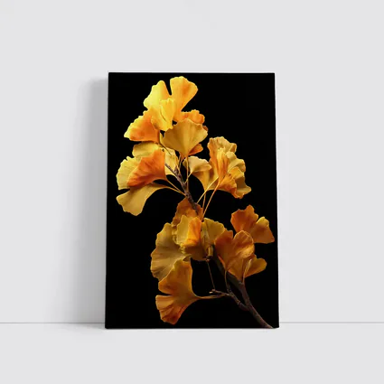 Golden Ginkgo Branch on Black Background