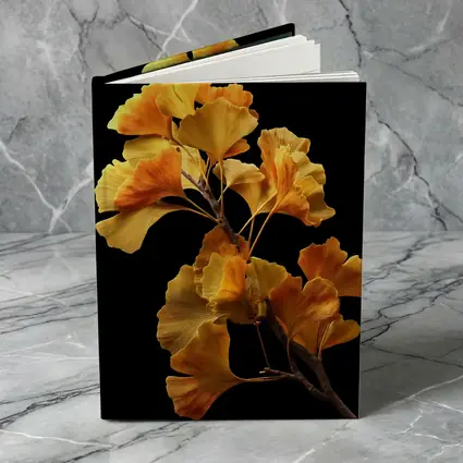 Golden Ginkgo Branch on Black Background
