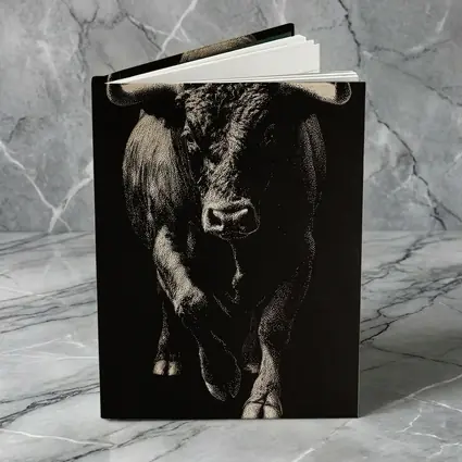 Bull Charging Forward Black Background Scratchboard Art