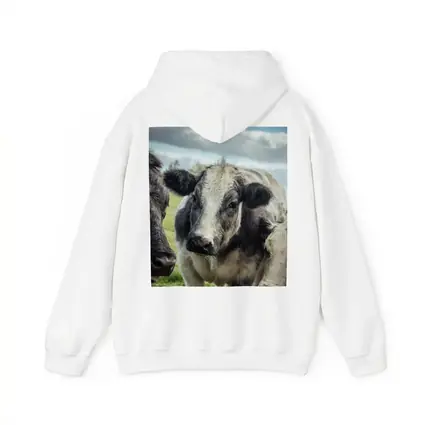 Black White Cow Close Up Green Field