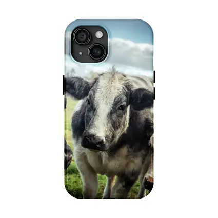 Black White Cow Close Up Green Field