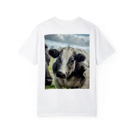 Black White Cow Close Up Green Field