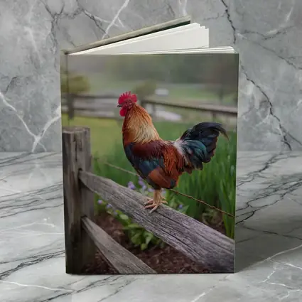 Rooster Perched On Wooden Fence Farm