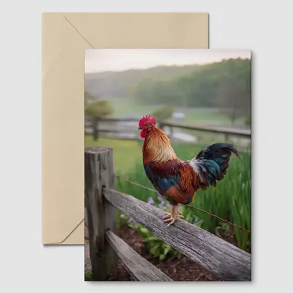 Rooster Perched On Wooden Fence Farm