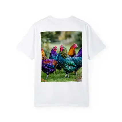 Colorful Chickens Roosters On Green Grass