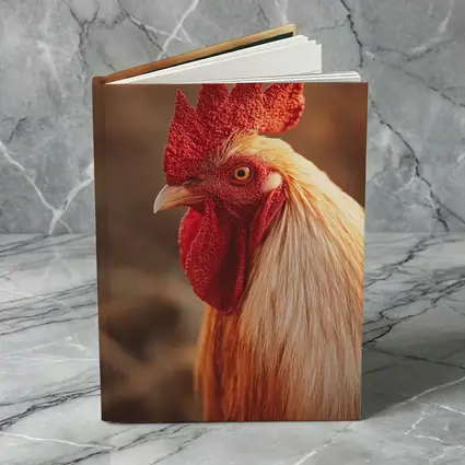 Golden Rooster Portrait Warm Bokeh Background