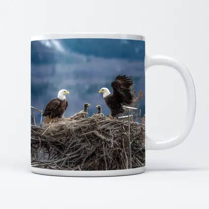 Bald Eagles Nesting With Mountain Background