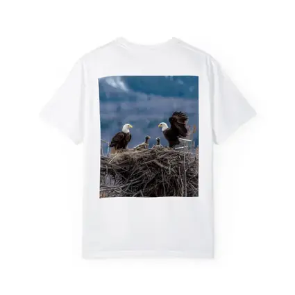 Bald Eagles Nesting With Mountain Background
