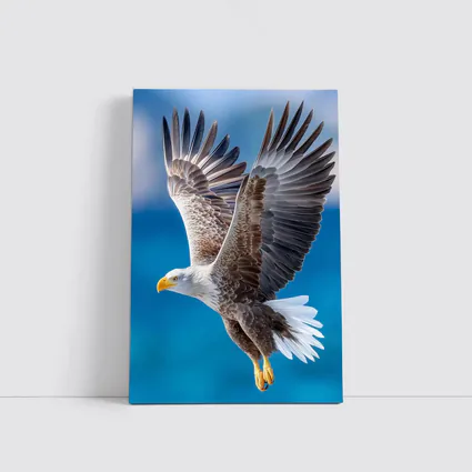 Bald Eagle Flying Over Blue Sky