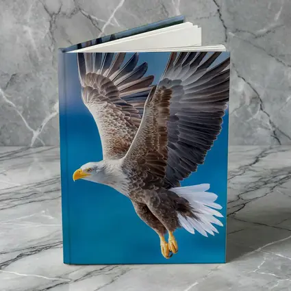 Bald Eagle Flying Over Blue Sky