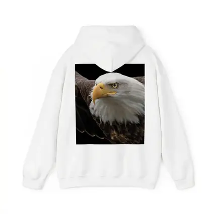 Bald Eagle Flying Against Dark Background