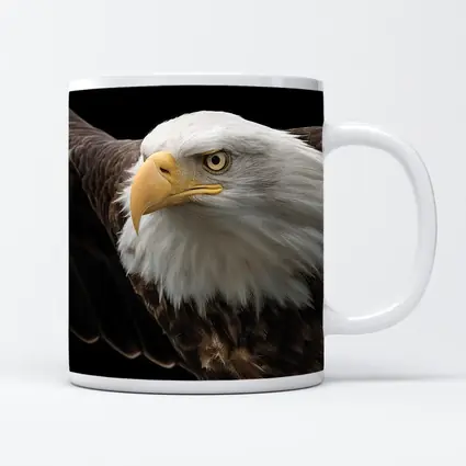 Bald Eagle Flying Against Dark Background