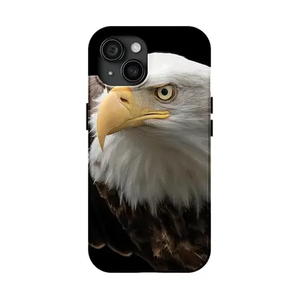 Bald Eagle Flying Against Dark Background