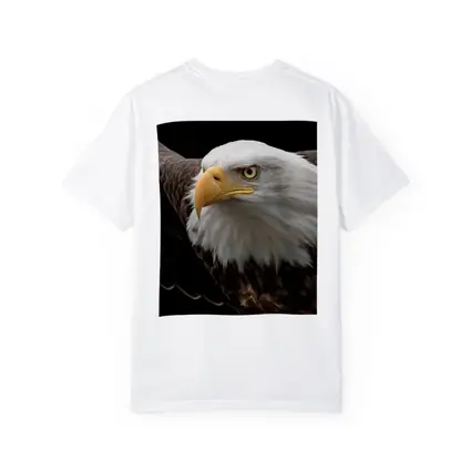 Bald Eagle Flying Against Dark Background