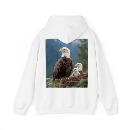 Bald Eagles Family Nest Snowy Mountain Forest