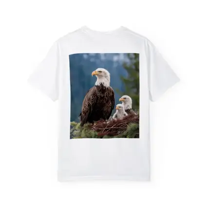 Bald Eagles Family Nest Snowy Mountain Forest