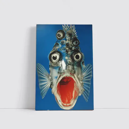 Surreal Fish Wide Open Mouth Blue Background