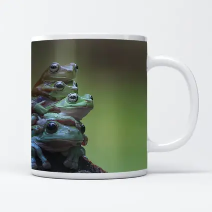 Three Green Tree Frogs Stacked Together