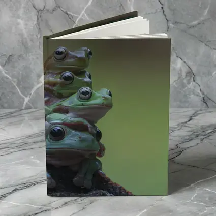 Three Green Tree Frogs Stacked Together
