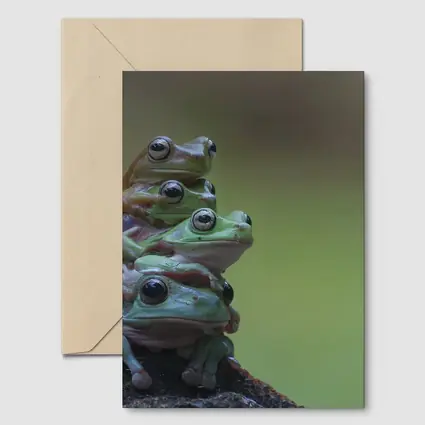 Three Green Tree Frogs Stacked Together
