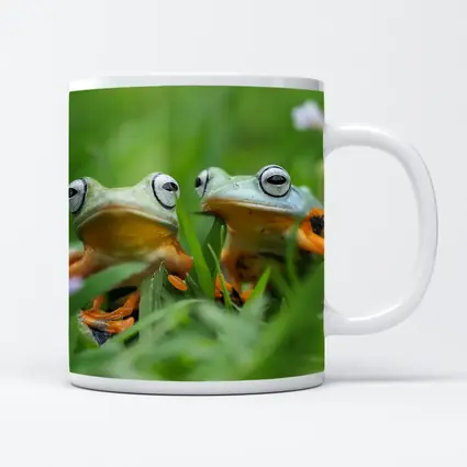 Two Tree Frogs Sitting in Green Grass