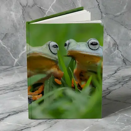 Two Tree Frogs Sitting in Green Grass