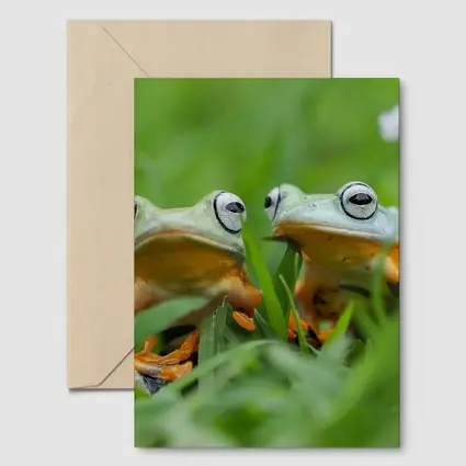 Two Tree Frogs Sitting in Green Grass