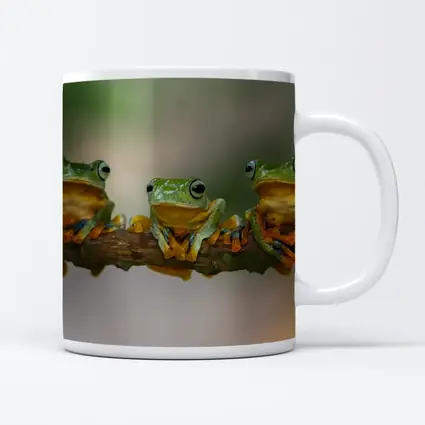 Three Green Tree Frogs On Branch