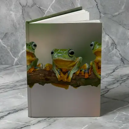 Three Green Tree Frogs On Branch