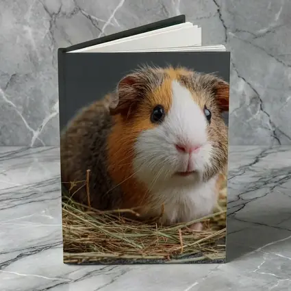 Tricolor Guinea Pig Sitting In Hay