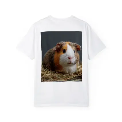 Tricolor Guinea Pig Sitting In Hay