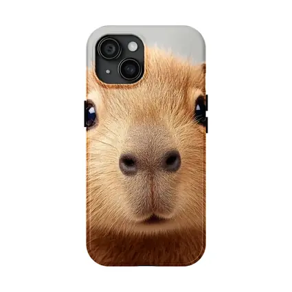Capybara Close Up Portrait Gray Background