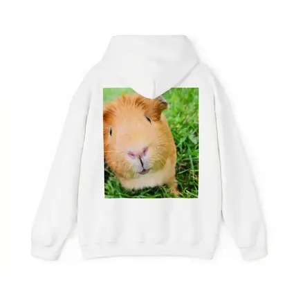 Guinea Pig Close Up Green Grass Background
