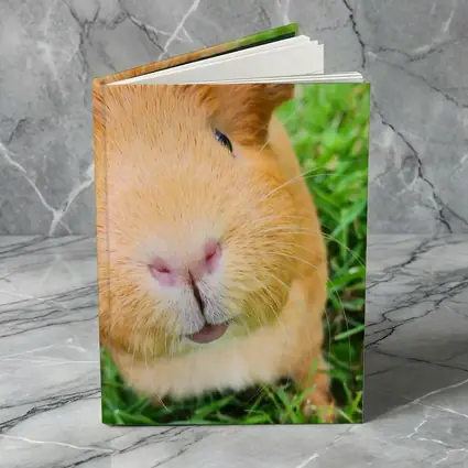 Guinea Pig Close Up Green Grass Background