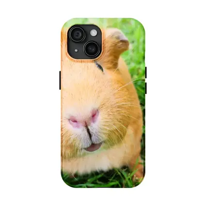 Guinea Pig Close Up Green Grass Background