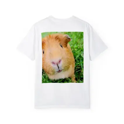 Guinea Pig Close Up Green Grass Background