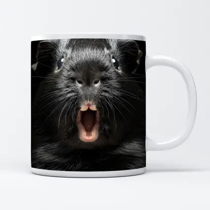 Black Guinea Pig Open Mouth Dark Background