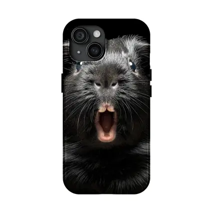 Black Guinea Pig Open Mouth Dark Background